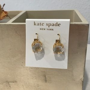 Kate Spade New York Crystal Small Drop Earrings
